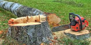 Best Lawn Grading and Leveling  in Schofield, WI