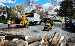 Best Lawn Maintenance Plans  in Schofield, WI