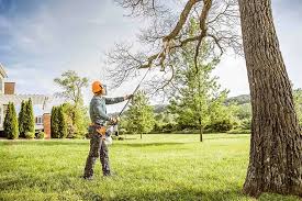 Best Emergency Tree Removal  in Schofield, WI
