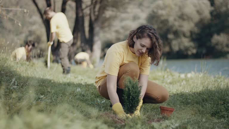 Best Pest Control for Lawns  in Schofield, WI