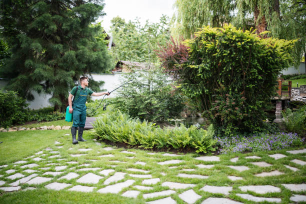 Best Lawn Fertilization  in Schofield, WI